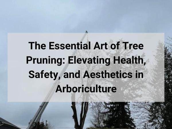 Tree Pruning