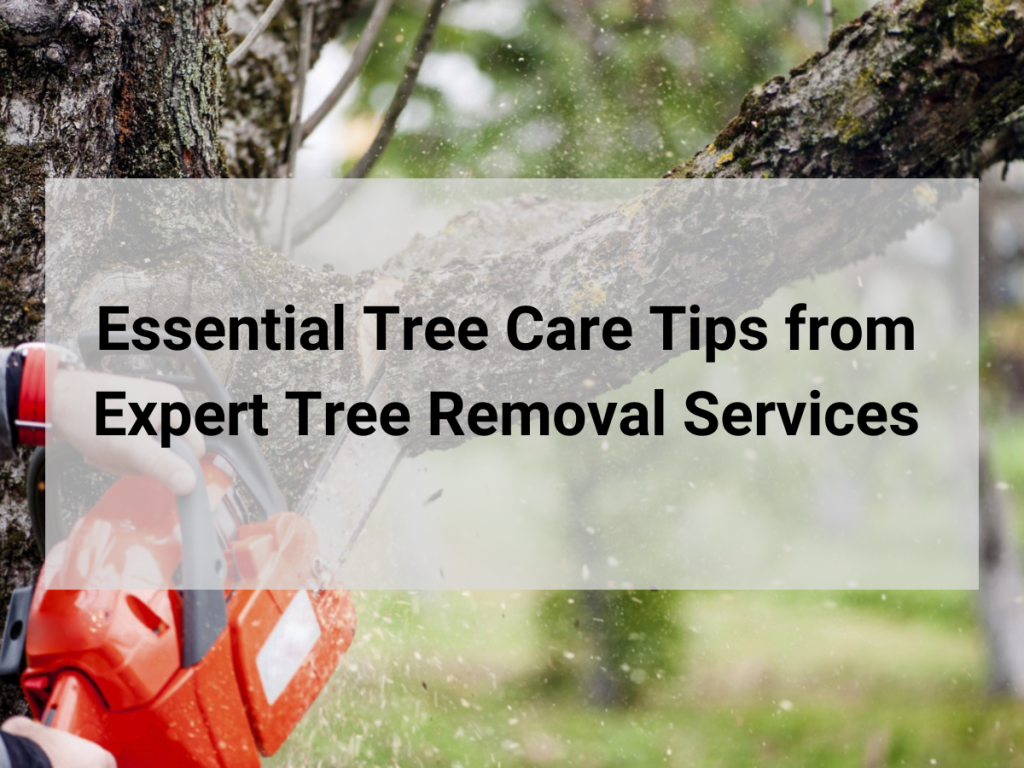 tree removal